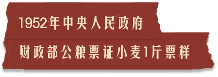 描述