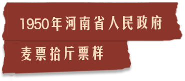 描述