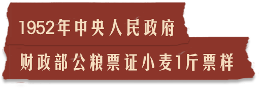 描述