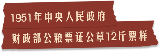 描述