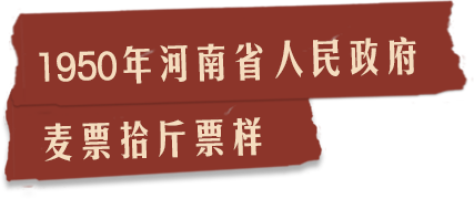 描述