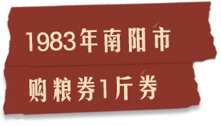 描述