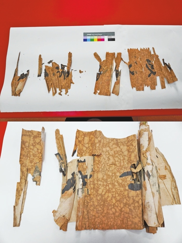 p33_s.jpg